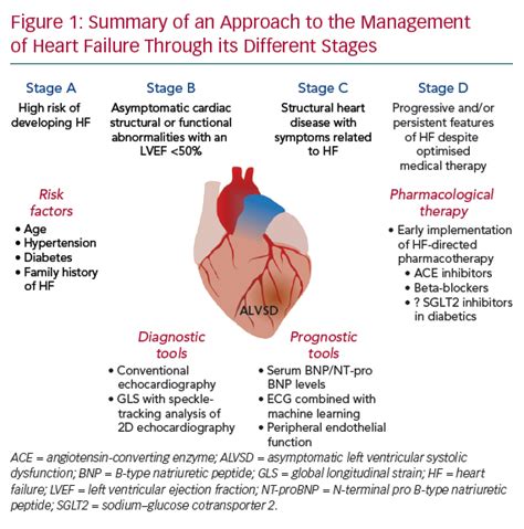 lvsd heart